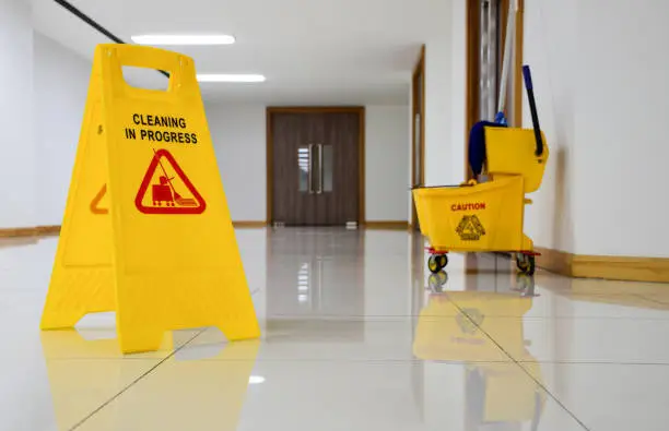 Professional Janitorial Services